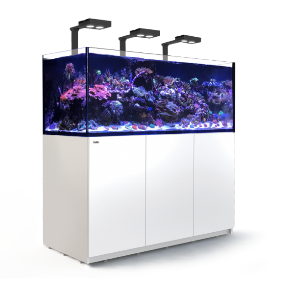 Reefer Deluxe XXL 625 Blanc (3 Hydra 26 HD et 3 potences) Red Sea